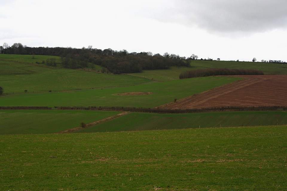 Warren Farm (Round Barrow(s)) by GLADMAN