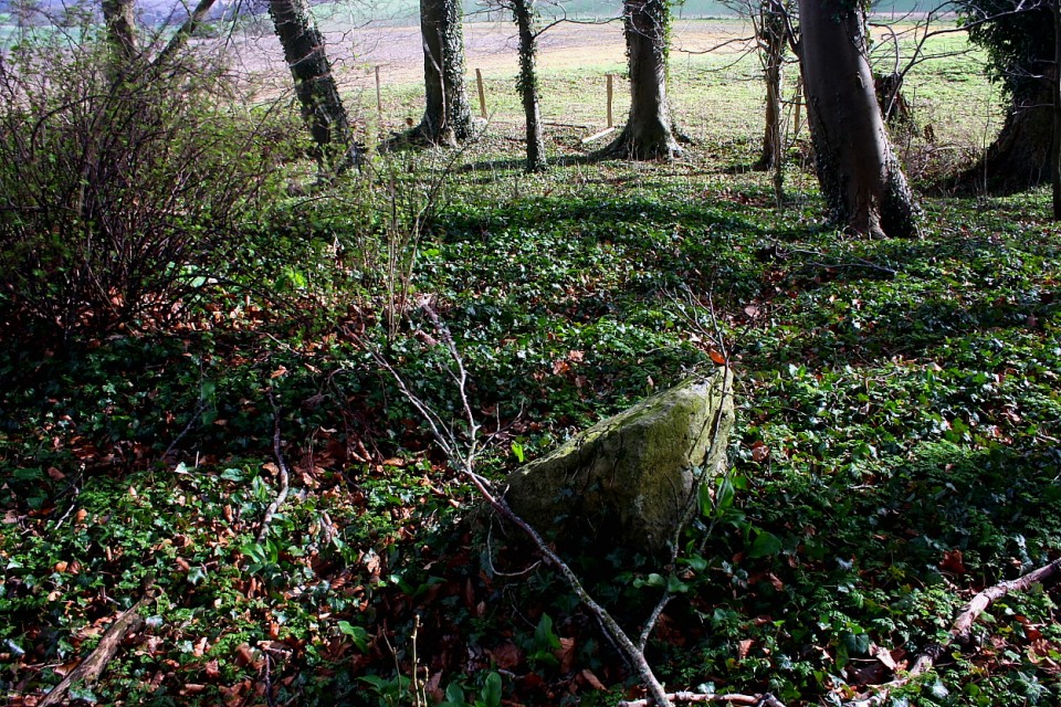 The Giant's Grave (Aldbourne) (Round Barrow(s)) by GLADMAN