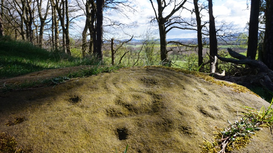 Tormain Hill (Cup and Ring Marks / Rock Art) by olly