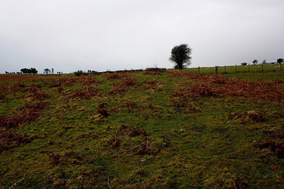 Beacons Down (Round Barrow(s)) by GLADMAN