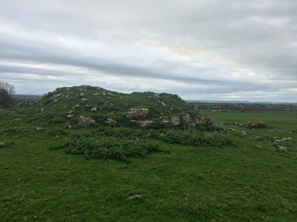 Carnfree (Artificial Mound) by ryaner