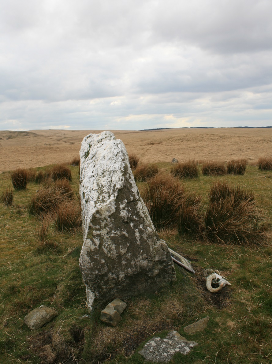 Pen Maen Wern (Standing Stone / Menhir) by postman