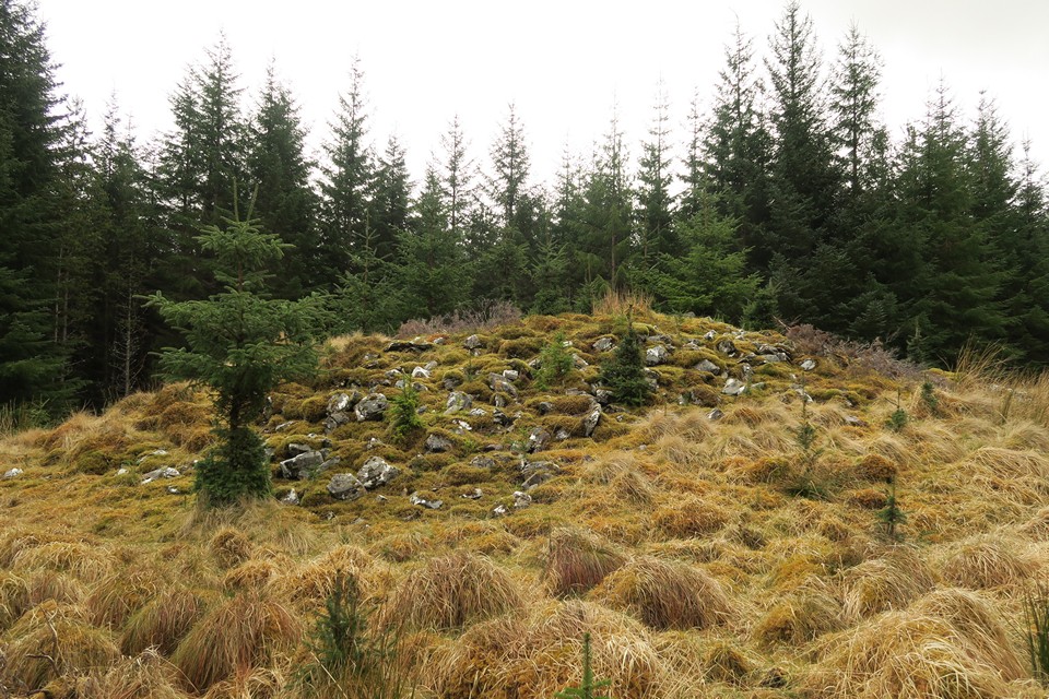 Allt Eileag (Chambered Cairn) by thelonious