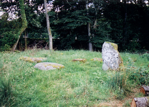 Dalginross (Stone Circle) by BigSweetie