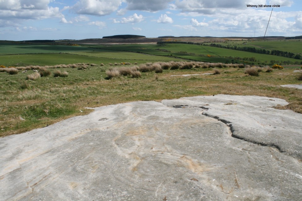 Chatton (Cup and Ring Marks / Rock Art) by postman