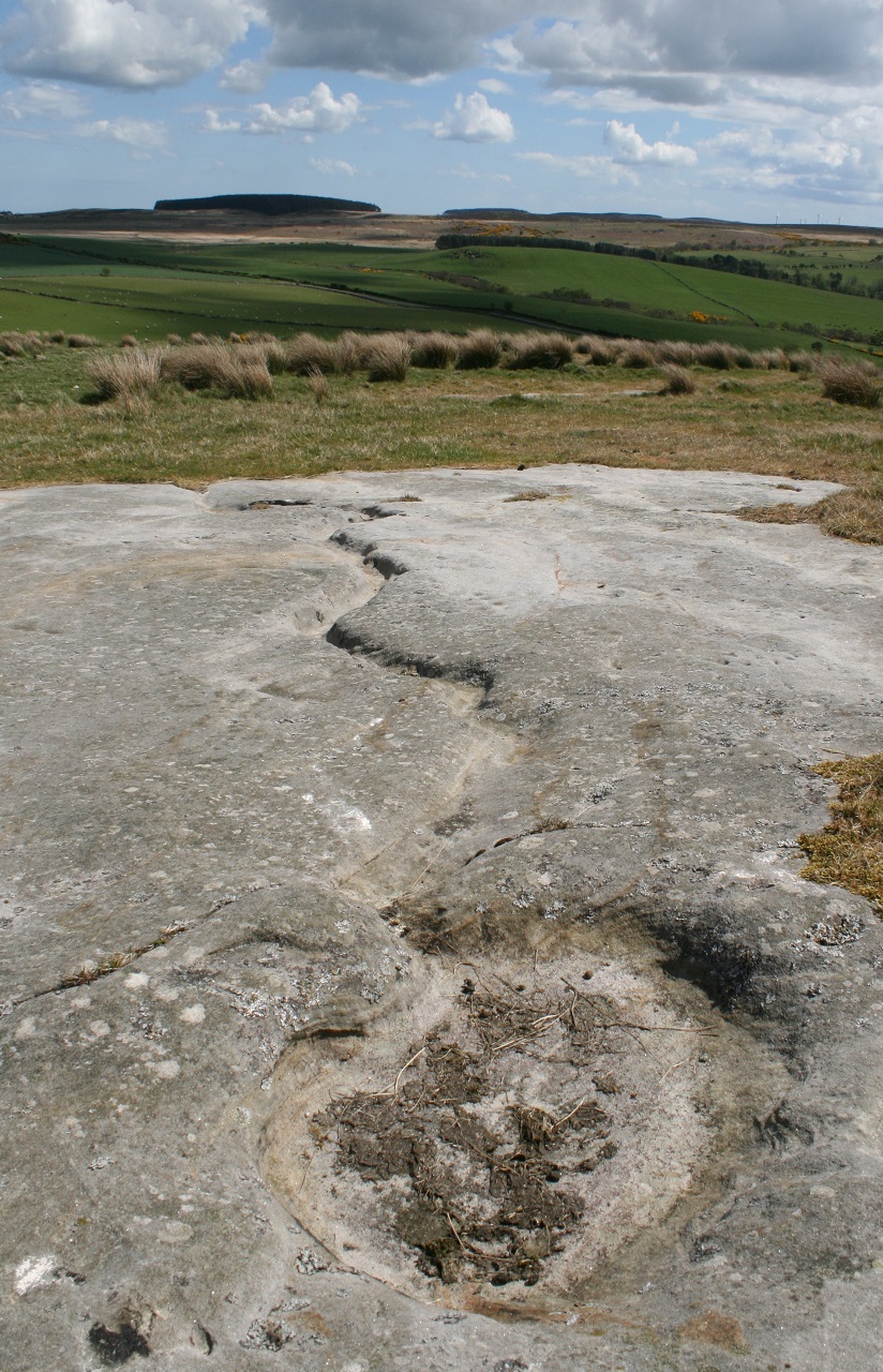 Chatton (Cup and Ring Marks / Rock Art) by postman