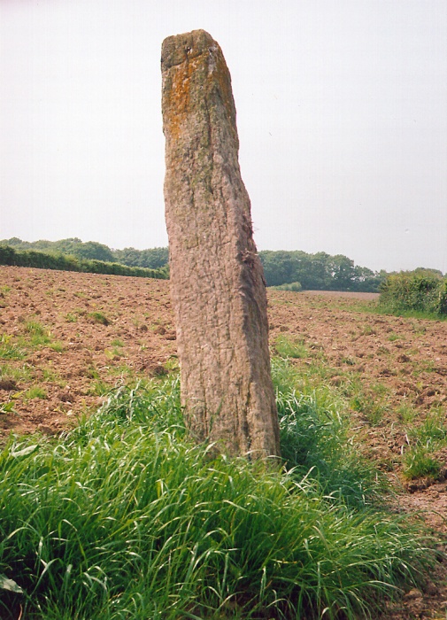 Longstone (East Worlington) (Standing Stone / Menhir) by jimit