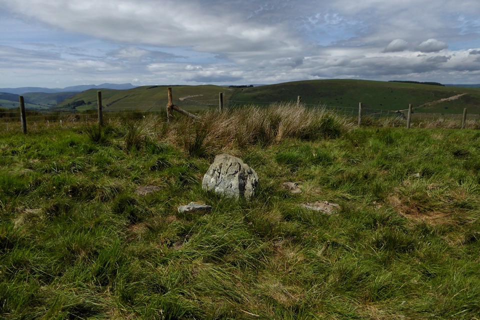 Ystradfawr (Standing Stone / Menhir) by thesweetcheat