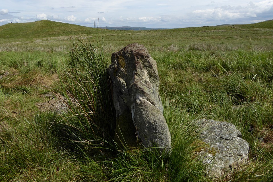 Ystradfawr (Standing Stone / Menhir) by thesweetcheat