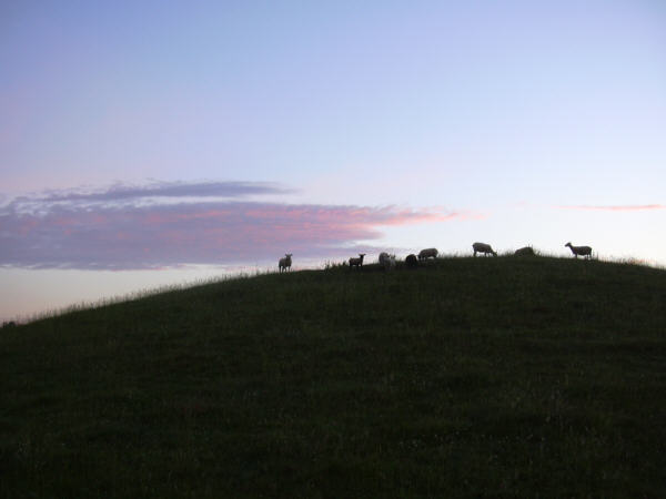 Thornborough Mounds (Bucks) by glennnancy