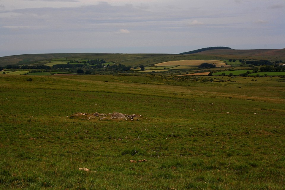 Riddon Ridge Field Systems (Ancient Village / Settlement / Misc. Earthwork) by GLADMAN