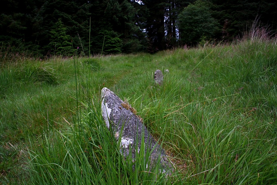 Fernworthy stone row (North) (Stone Row / Alignment) by GLADMAN