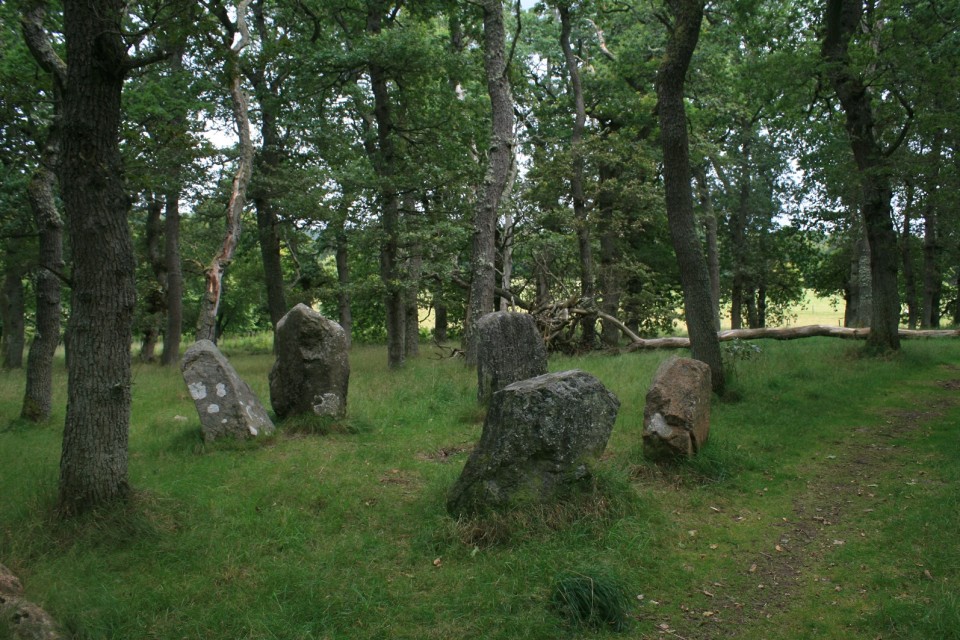 Image Wood (Stone Circle) by postman