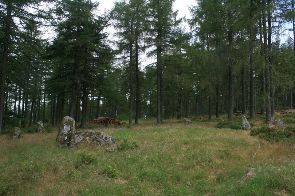 Nine Stanes (Stone Circle) by postman