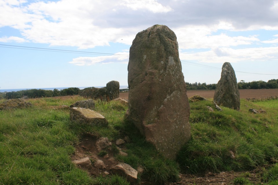 Aquhorthies (Stone Circle) by postman