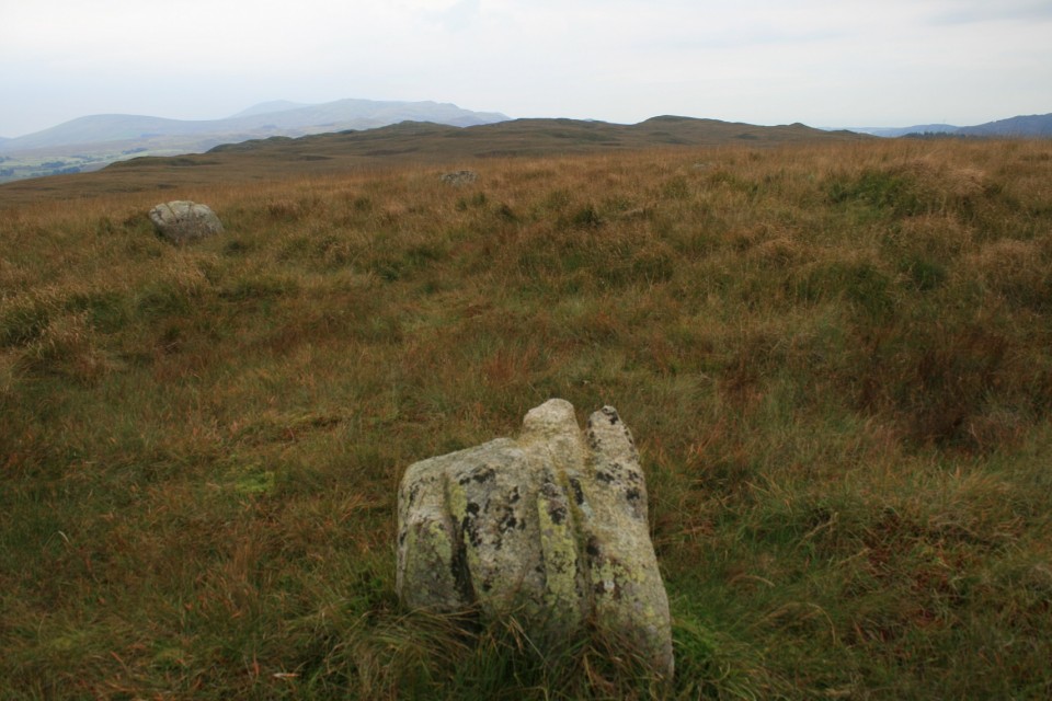 Low Longrigg (Stone Circle) by postman
