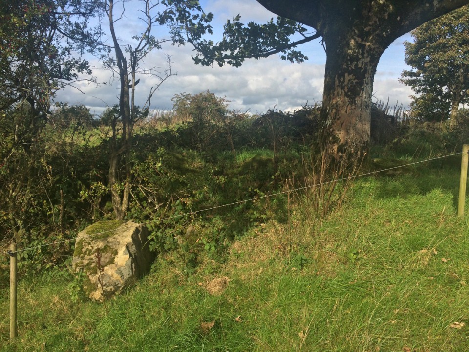 Clonasillagh (Passage Grave) by ryaner