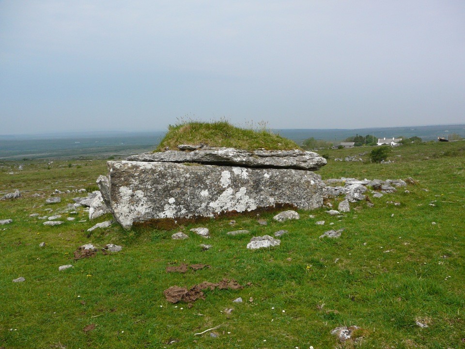 Parknabinnia (Cl. 67) (Wedge Tomb) by Nucleus