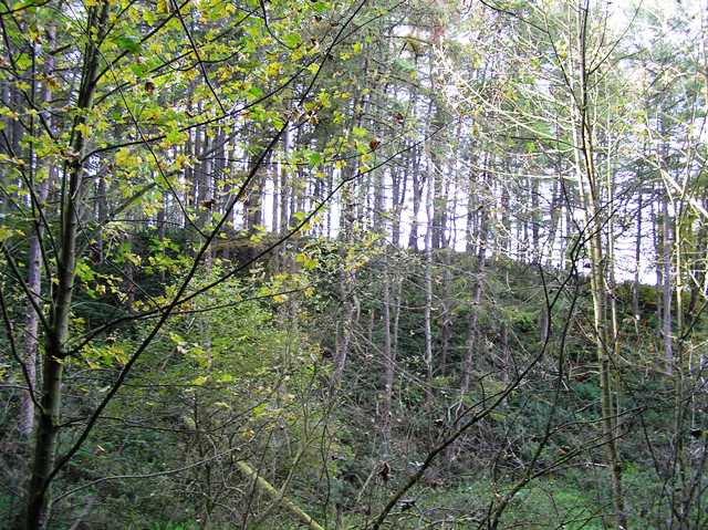 Lady Mary's Wood (Hillfort) by drewbhoy