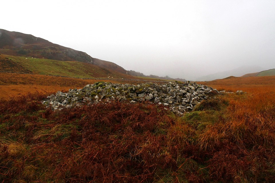 Cairn, upon a woodland saddle (Round Cairn) by GLADMAN