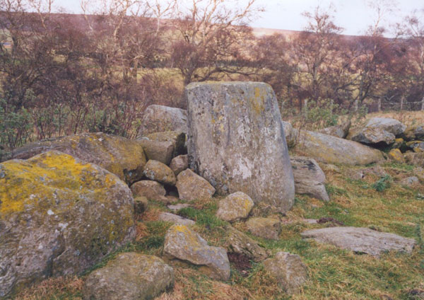 Clachan Aoradh (Standing Stone / Menhir) by BigSweetie