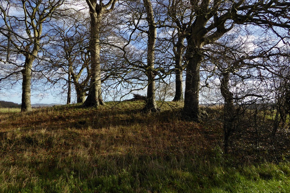 Old King Barrows (Barrow / Cairn Cemetery) by thesweetcheat