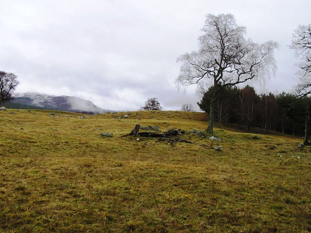 Kincraig (Chambered Cairn) by drewbhoy