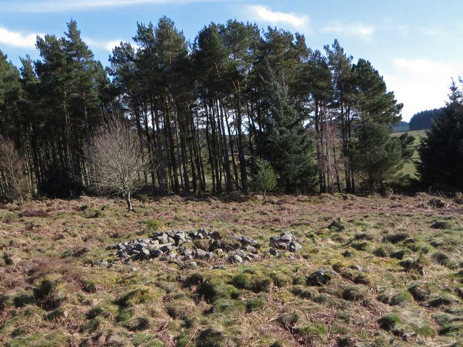 Clune Wood (Ring Cairn) by LesHamilton