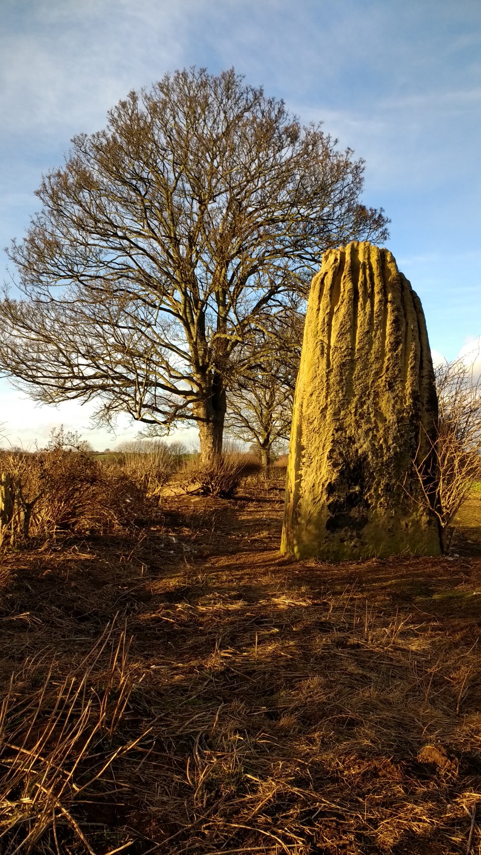 The Devil's Arrows (Standing Stones) by spencer