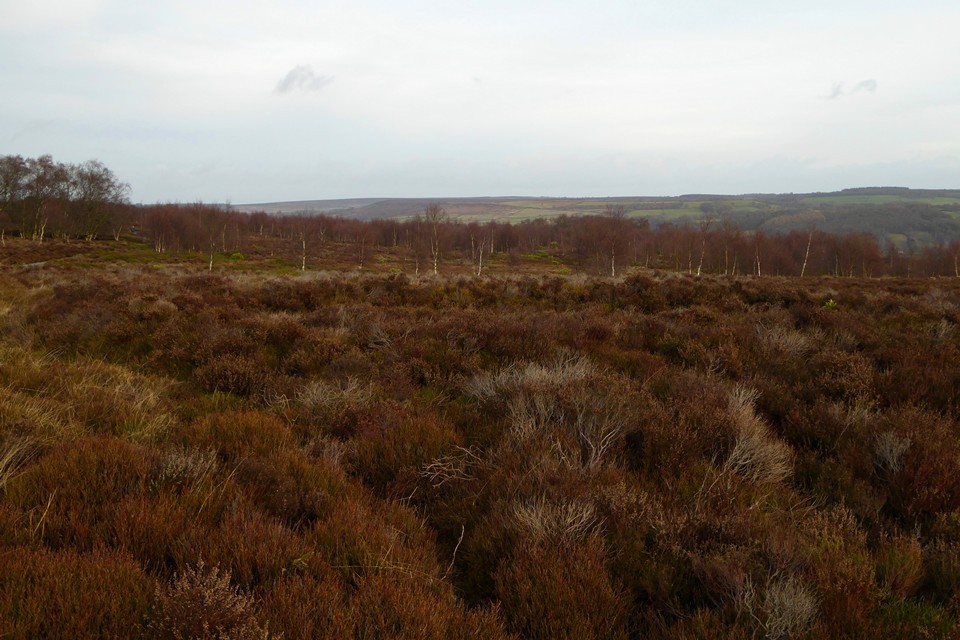 Stanton Moor South (Stone Circle) by thesweetcheat