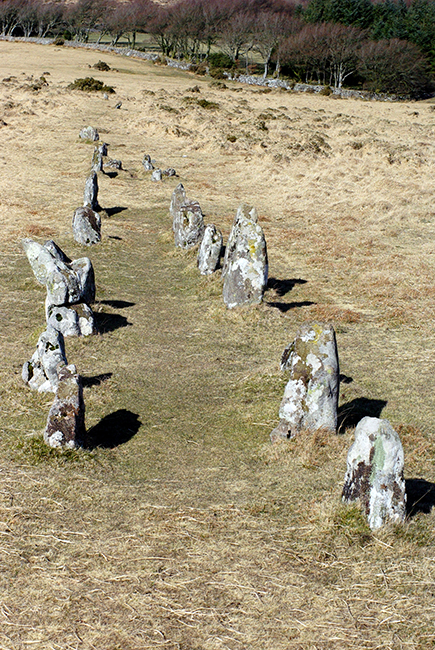 Shovel Down & The Long Stone (Multiple Stone Rows / Avenue) by Zeb