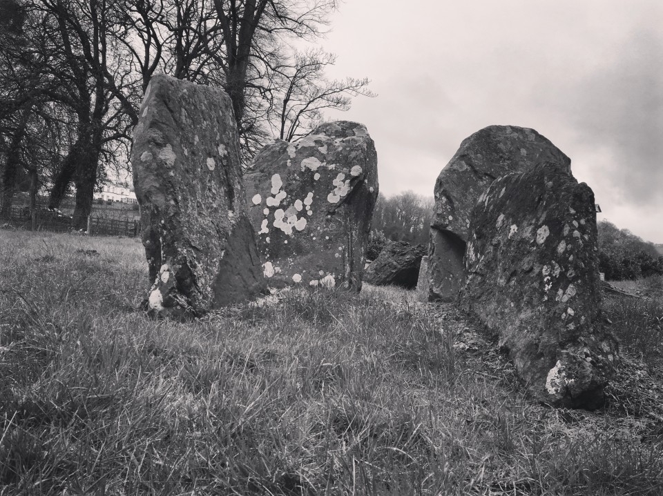 Gwernvale (Chambered Tomb) by texlahoma