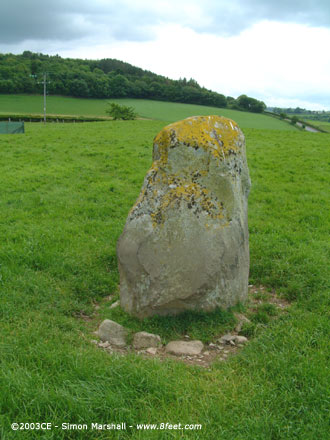 Carreg Llwyd (East) (Standing Stone / Menhir) by Kammer