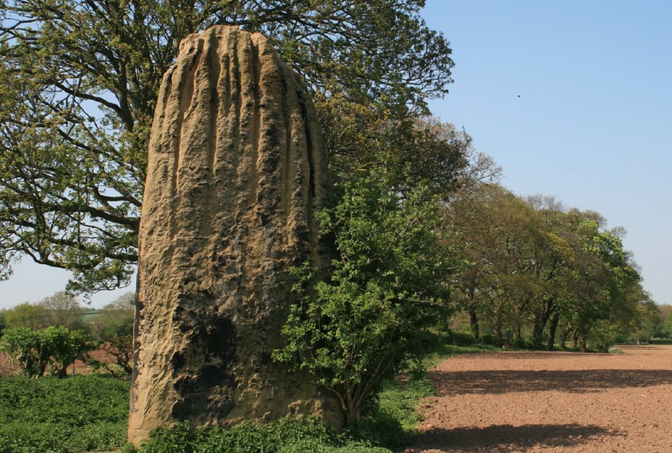 The Devil's Arrows (Standing Stones) by postman