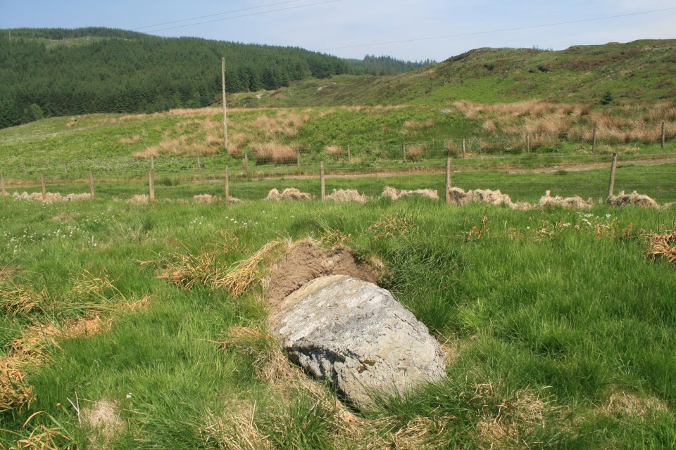 Garrig Hir (Standing Stone / Menhir) by postman