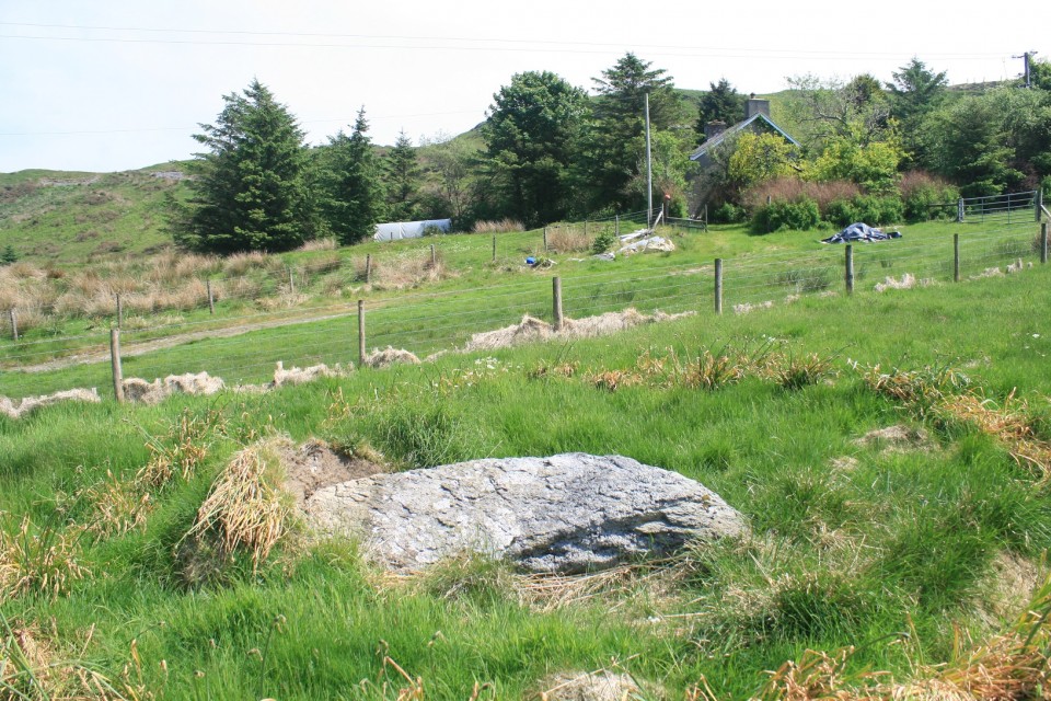 Garrig Hir (Standing Stone / Menhir) by postman