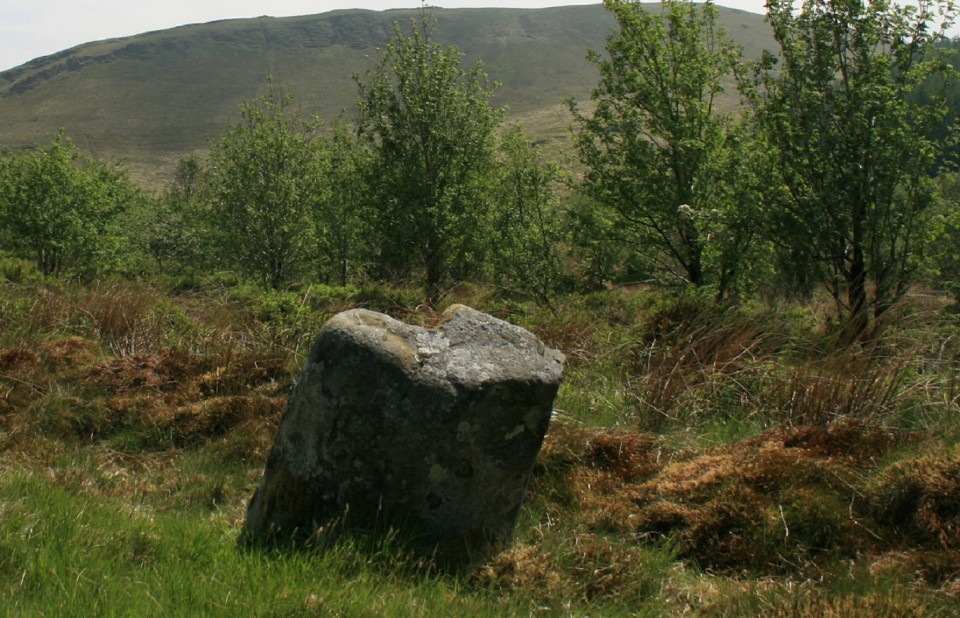 Buwch a'r Llo and Mynydd March (Standing Stones) by postman