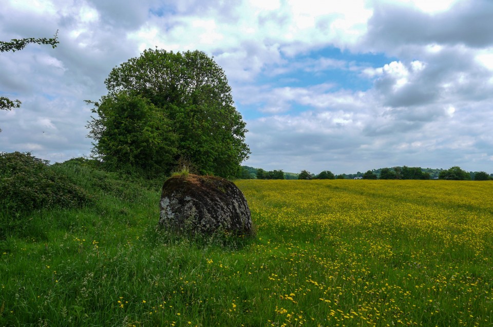 The Stone Of The Tree (Standing Stone / Menhir) by Meic