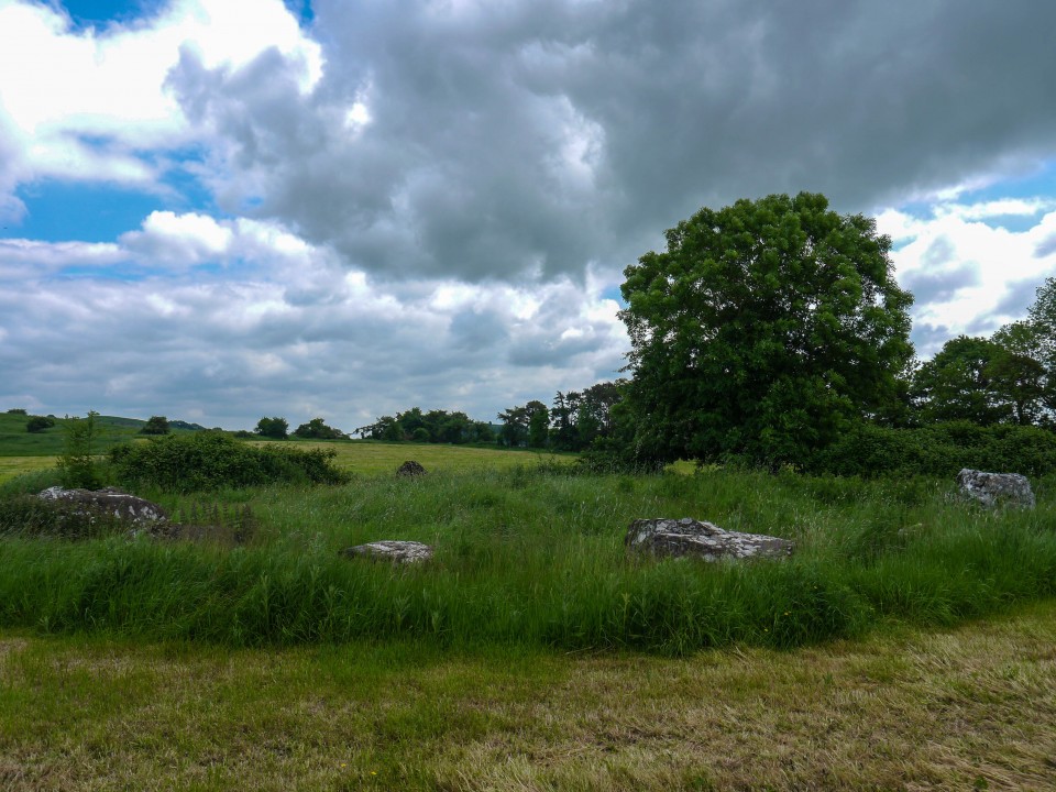 Lough Gur C (Stone Circle) by Meic
