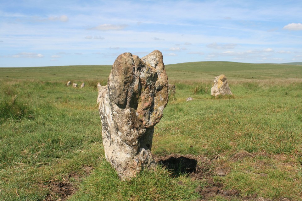 Ringmoor Cairn Circle and Stone Row (Stone Row / Alignment) by postman