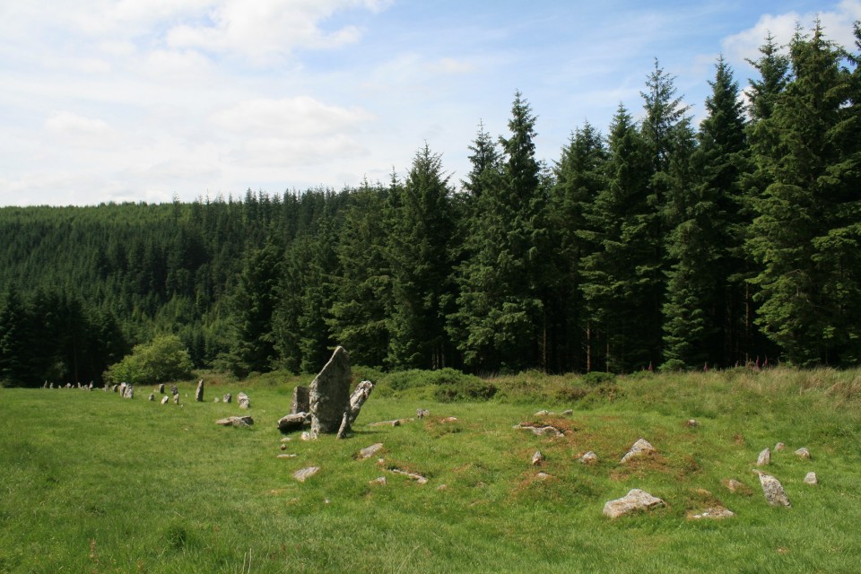 Assycombe Hill (Stone Row / Alignment) by postman