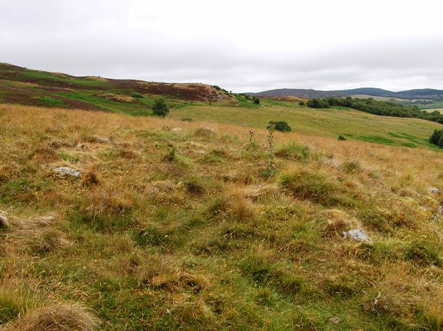 Laggan Hill (Kerb) (Kerbed Cairn) by drewbhoy