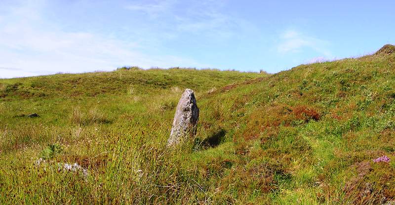 Coille A'chnoic Mhoir (Standing Stone / Menhir) by drewbhoy