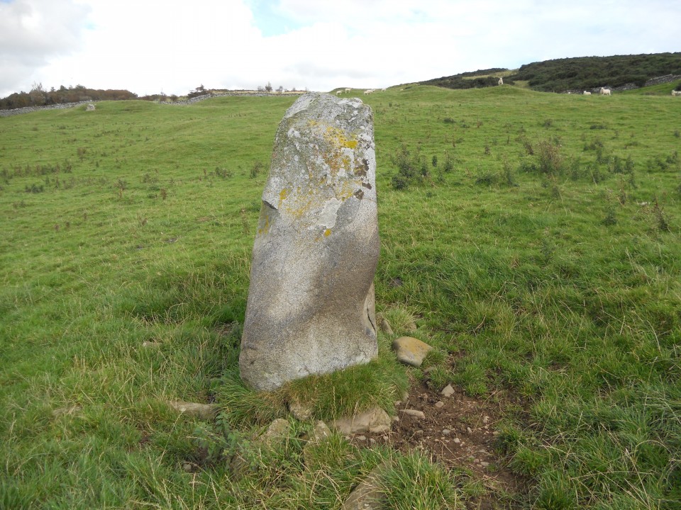 Brighouse Standing Stone (Standing Stone / Menhir) by markj99
