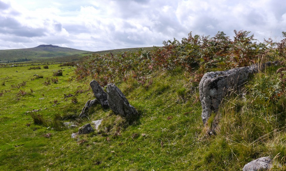 Black Tor (Stone Row / Alignment) by Meic