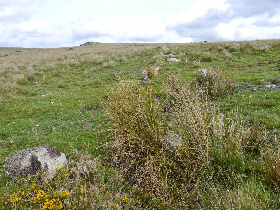 Hart Tor (Stone Row / Alignment) by Meic