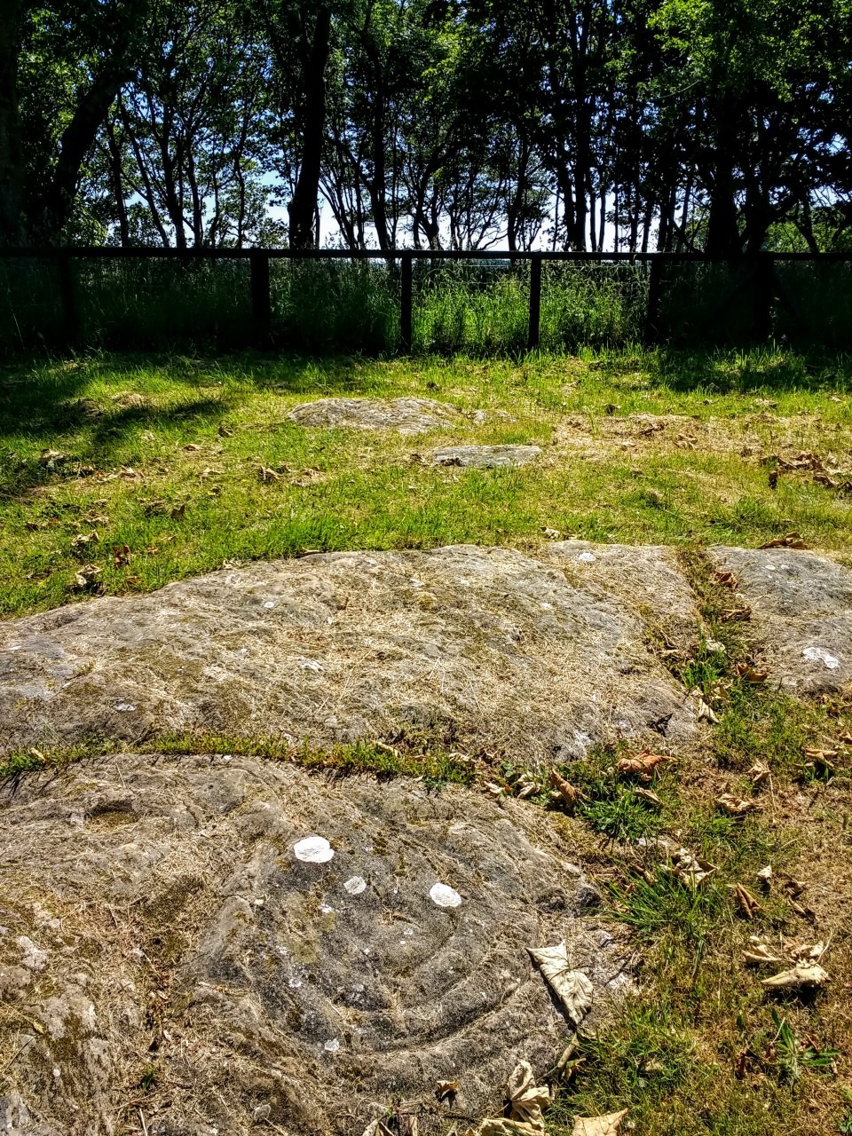 Drumtroddan Carved Rocks (Cup and Ring Marks / Rock Art) by spencer