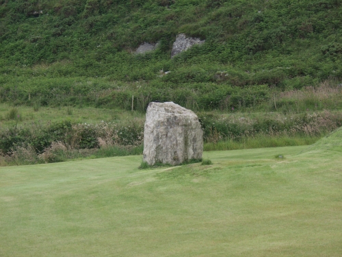 Tullig Stone (Standing Stone / Menhir) by ocifant
