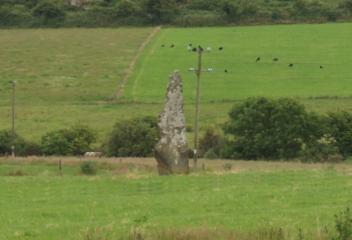 Ballymote (Standing Stone / Menhir) by ocifant