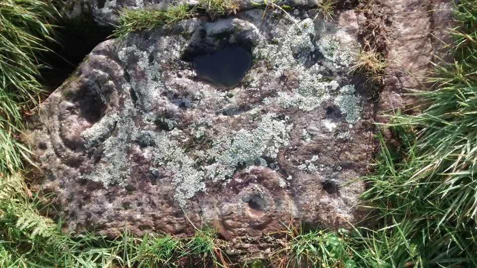 Newlaw Hill 1 (Cup and Ring Marks / Rock Art) by Howburn Digger